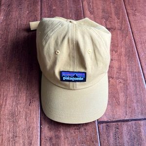 Patagonia Logo Hat